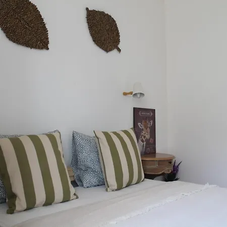 Ti Maria * ファロ